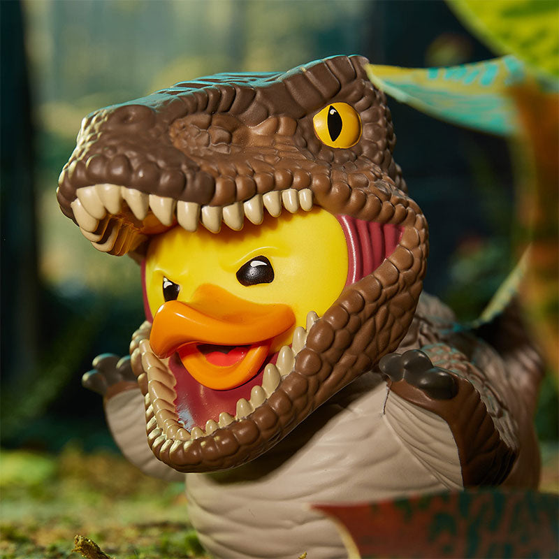 Canard Velociraptor