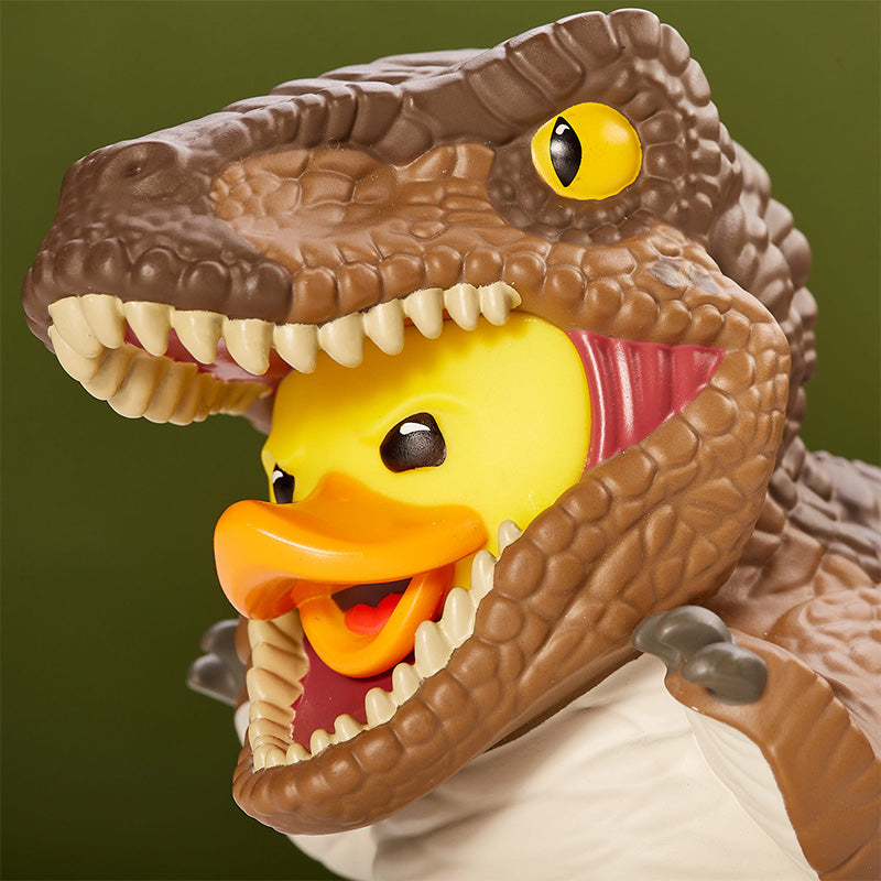 Canard Velociraptor