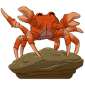 Crab Rave