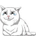 Crying Cat