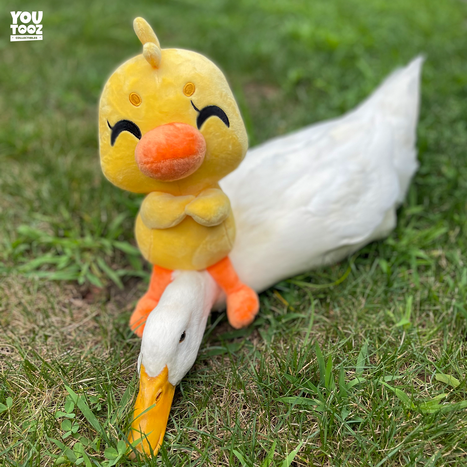 Duck Plush Toy (9in)