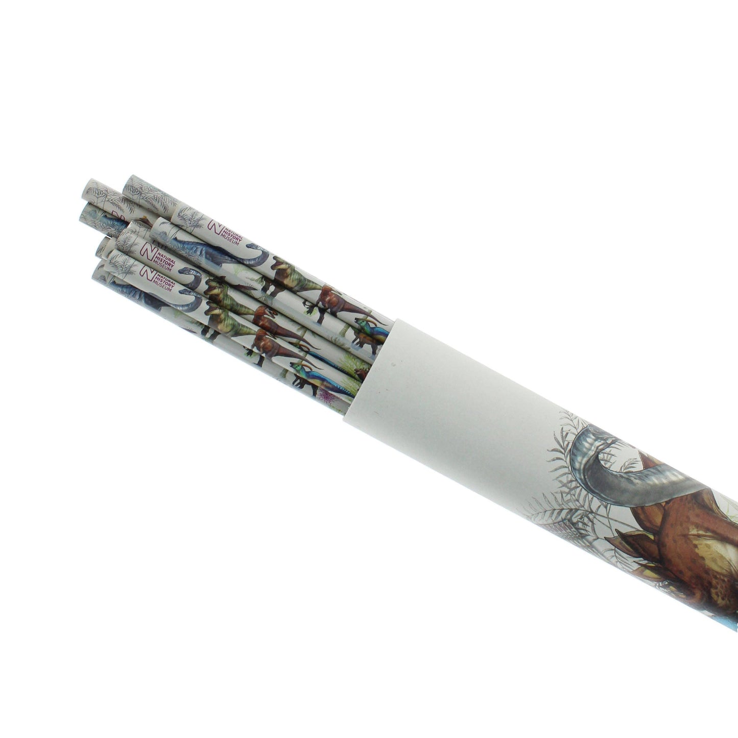 Crayons de – couleur du Musée d'histoire naturelle | Blueprint Collections – vue 3