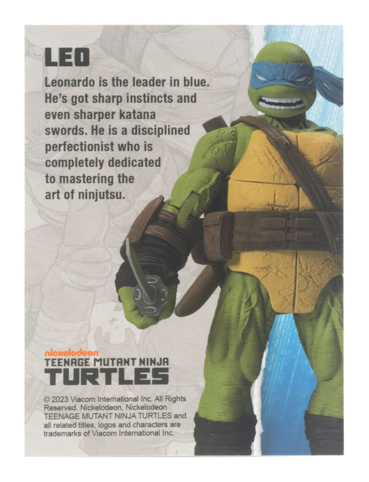 BST AXN Leonardo (IDW Comics) 