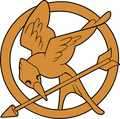 Mockingjay Pin