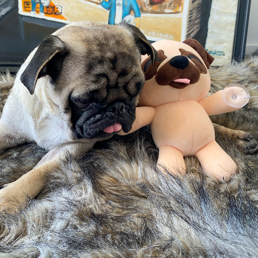 Mops Splatt Plüschtier (23 cm)
