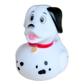 Canard Dalmatien