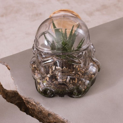 terrarium-stormtrooper