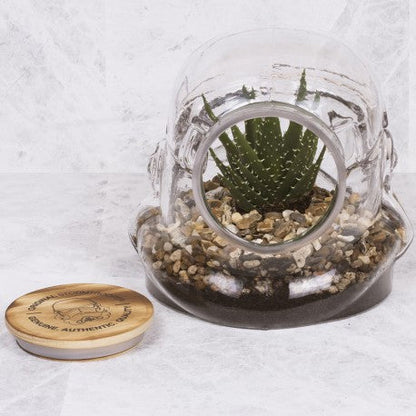 terrarium-stormtrooper
