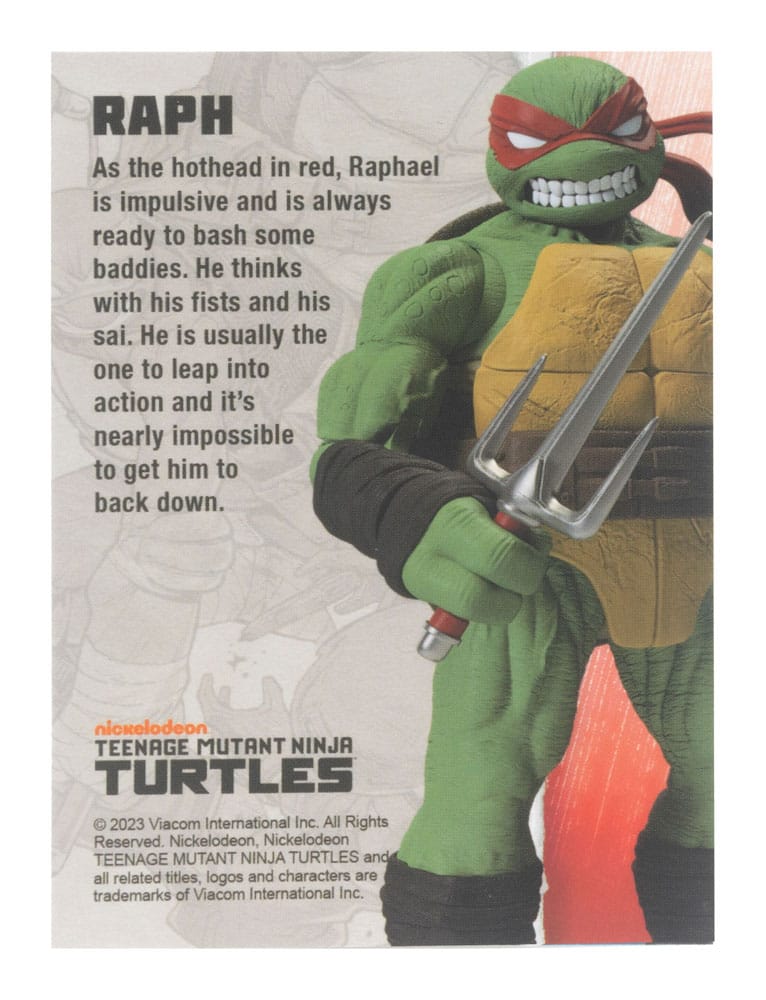 BST AXN Рафаел (IDW Comics) 