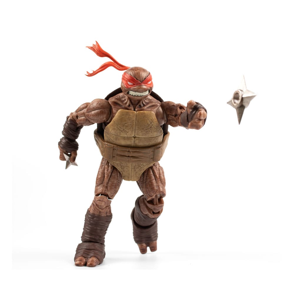 zombie-turtle-idw-comics-the-loyal-subjects