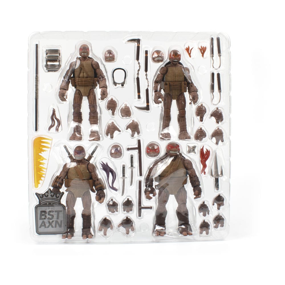 zombie-turtle-idw-comics-the-loyal-subjects