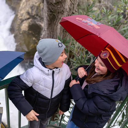 Parapluie Harry Potter - Gryffondor