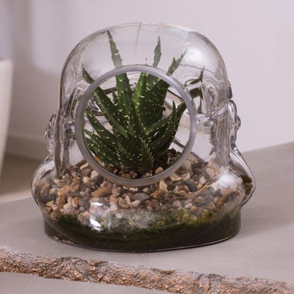 Terrarium Stormtrooper