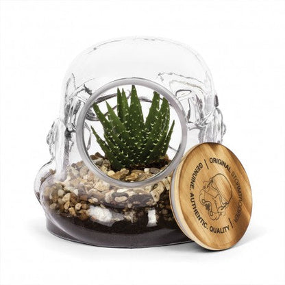 Terrarium Stormtrooper